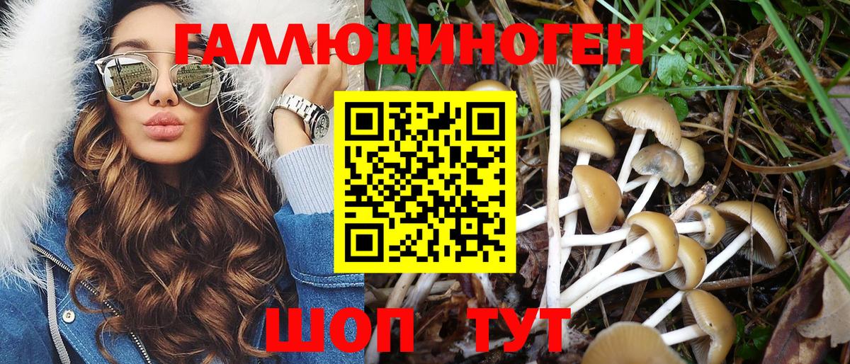 купить закладку  Галлюциногенные грибы MAGIC MUSHROOMS  Вход с VPN  Чехов  Галлюциногенные грибы мицелий 